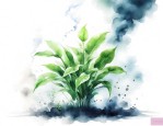 植物可以吸收氧气释放二氧化碳气体吗