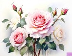 玫瑰花和白梅花的作用