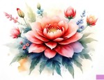 哪些花寓意好