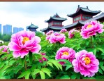 太原牡丹花什么时候开