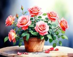 家里能养玫瑰花盆栽吗
