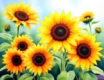 太阳花花语和寓意短句