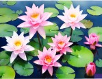 常见的水生花卉有哪些