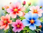 什么花繁殖力强还漂亮