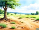 沙子地适合种什么植物