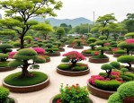 2025年盆景花卉批发基地