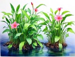 养水生植物用不用换水