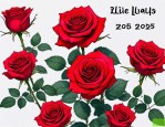 2025年19朵红玫瑰花语