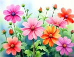六七月开的花都有什么花