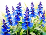 蓝花鼠尾草是什么形状的