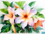 什么可以解曼陀罗花毒