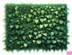绿植墙植物墙