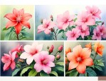 什么花一年四季开花又香