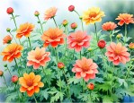 适合院子里种的花耐寒