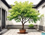 2025年庭院栽植什么树好
