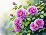 2025年紫蔷薇花语和寓意