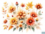 秋季花的种类
