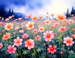满天星是什么季节的花