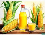 玉米花专用油是什么油