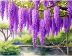 2025年紫藤花是什么意思