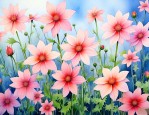 花语大全 寓意满天星