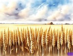 小麦良种统一供种
