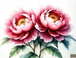 牡丹花多少钱一斤