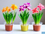 什么花适合水培家里养