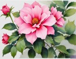 2025年哪种鲜花花期最长