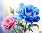 蓝色妖姬的寓意和花语