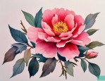 2025年好听又冷门的花名