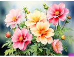 能吃的花的品种有哪些