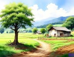 农村宅子上栽什么树好