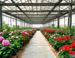 2025年北京花卉种植基地