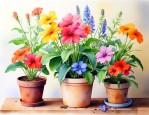 什么植物可以放家里养