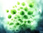 绿色植物通过光合作用把什么转化为化学能