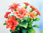 长寿花夏天的养护方法