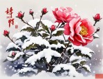 2025年傲雪斗霜的什么花