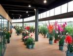 北京玉泉营花卉展销厅