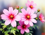 什么花在七点左右开花
