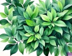 绿色叶子的植物有哪些