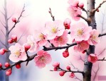 梅花有什么好处和作用