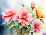 什么花开花好看还好养