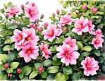 2025年春季开花植物大全