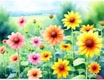 夏天北方适合种什么花