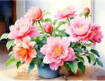 家里养开花的花好不好