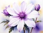 白花瓣紫花蕊是什么花