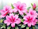 关于杜鹃花的优美句子