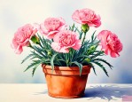 盆栽康乃馨夏天怎么养