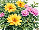 2025年黄芍药花语和寓意